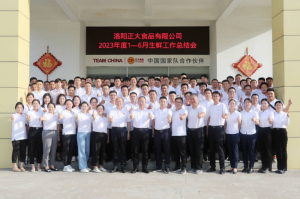總結過去，計劃未來，協(xié)同創(chuàng)新，再創(chuàng)佳績！洛陽正大舉行2023年上半年工作總結會議